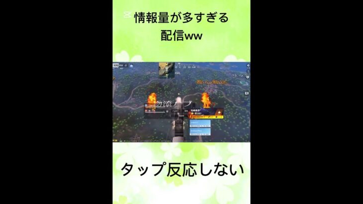 母とやる荒野行動が情報量多すぎるww