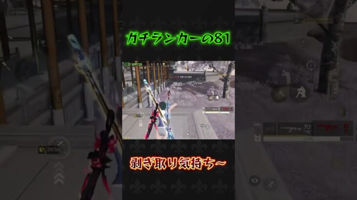 ガチランカーの81きたー！#荒野行動 #knivesout #ペニンシュラ大脱走