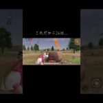 やっぱCSでしょ！　#荒野行動 #砂 #荒野組 #おすすめ #geiming