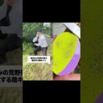 無双しすぎやろ！#荒野行動 #Epicoll#pr