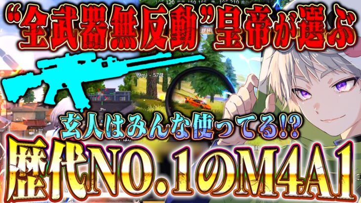 【無反動】界隈最強が選ぶなぜか強いM4A1歴代最強スキン【荒野行動】