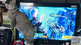 Switchゲームライブ参加型下手ですが何か❓初見さん大歓迎、荒野行動、スプラ3、ＣＡＲＸ、あつ森などなど