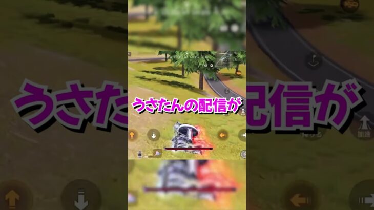 【荒野行動】これて大事だよね？？#shorts #荒野行動 #荒野女子