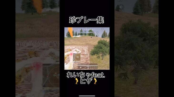 結婚おめでとう🎊㊗️珍プレー爆誕。#shorts #shortsfeed #荒野行動 #川口家 #珍プレー