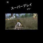 仲間としてはよくやったね！#荒野行動