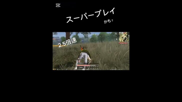 仲間としてはよくやったね！#荒野行動