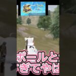 カムサハムニダ✨ᴛʜᴀɴᴋʏᴏᴜ  #荒野再会祭 #荒野行動純金配布
