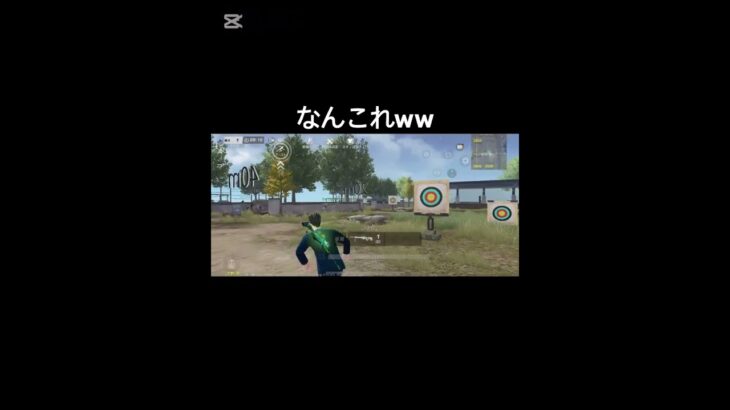 偽チャオQD #荒野行動 #射撃場
