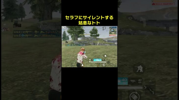 趣味はセラフ拾いです　#shorts #荒野行動 #トト #キル集 #荒野の光