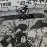 One Piece Chapter 1016 Spoilers English Subtitles