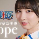 Hope / 安室奈美恵 【ONE PIECE】 cover by Seira
