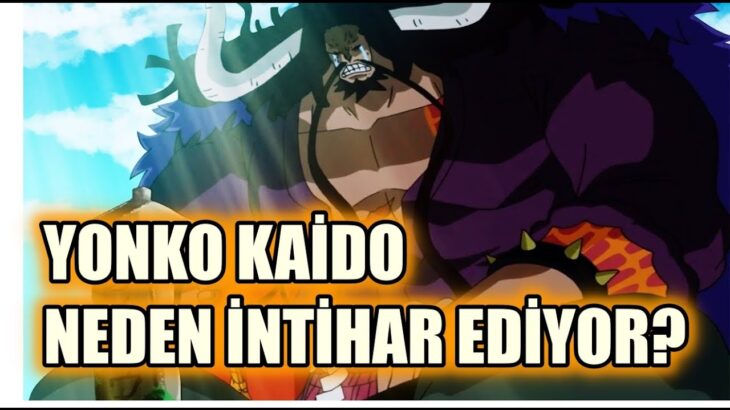 Kaido Nasıl Bir Yonko? Ölmek mi İstiyor? One Piece 986.Bölüm Anime İncelemesi l ワンピース