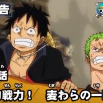 ONE PIECE　第1000話予告「圧倒的戦力！　麦わらの一味集結」