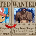 Strong One Piece Characters With Low Bounties (Personal Opinion)