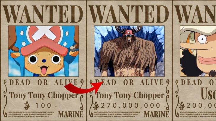 Strong One Piece Characters With Low Bounties (Personal Opinion)