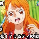 ワンピース 1008話 – One Piece Episode 1008 English Subbed | Sub español | ~ LIVE ~