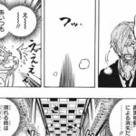 【ワンピース】ワンピース 1033~1034話『最新刊』|| One Piece