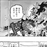 ワンピース 1041話ー日本語のフル  | One Piece 1041 Full JP