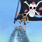 第 43 話ワンピース海賊島 |ヒルルク・ザ・クワック！