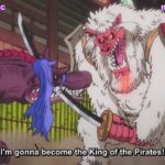 One Piece Episode 1009 English Subbed – ワンピース 1009話