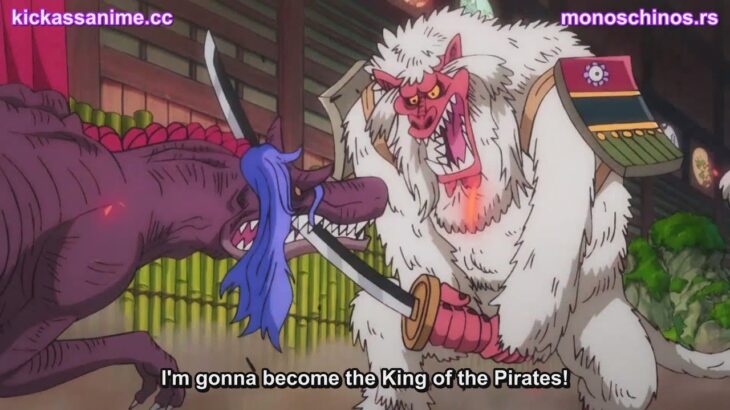 One Piece Episode 1009 English Subbed – ワンピース 1009話