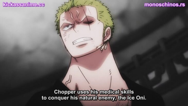 One Piece Episode 1010 English Subbed – ワンピース 1010話