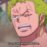 One Piece Episode 1011 English Sub FIXSUB
