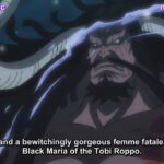 One Piece Episode 1011 English Subbed – ワンピース 1011話
