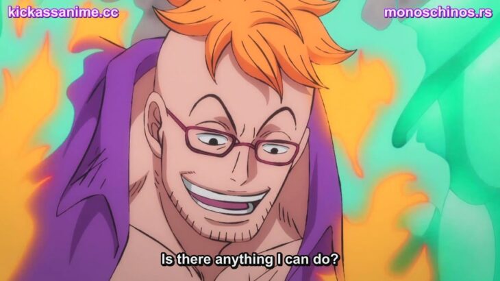 One Piece Episode 1011 English Subbed ( FIXSUB )
