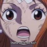 ワンピース 1015話 アニメ One Piece Episode 1015 English Subbed