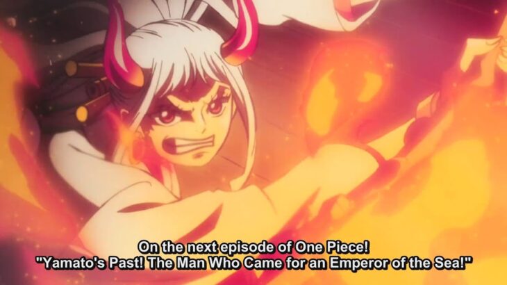 One Piece Episode 1013 English Subbed – ワンピース 1013話