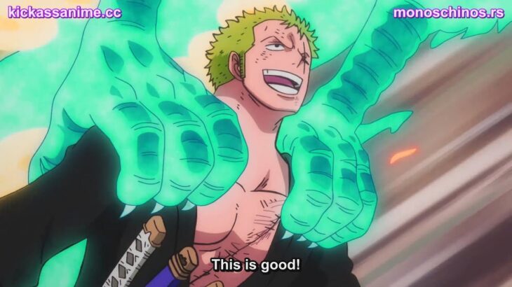 One Piece Episode 1014 English Subbed ( FIXSUB )