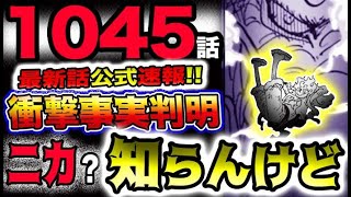 【ワンピース 最新話公式速報】カイドウはニカを知らない？衝撃の事実判明！ニカの獣型はまさかのアレだった？！(予想妄想)