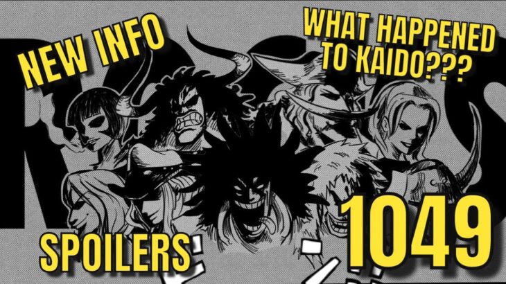 One Piece Chapter 1049 (SPOILERS) – NEW ADDITIONAL INFORMATION