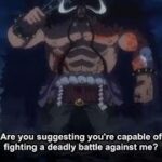 One Piece Episode 1016 English Subbed FIXSUB – One Piece Latest Episode 1016 || ワンピース 1016話