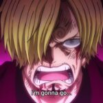 One Piece Episode 1016 English Subbed FULL HD