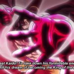 One Piece Episode 1017 English Subbed