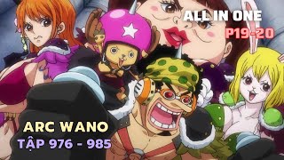 Review Phim One Piece SS20 – P19,20 ARC WANO | Tóm tắt Phim Đảo Hải Tặc Tập 976-985