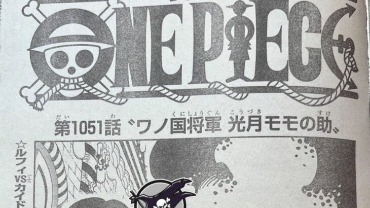 ワンピース 1051話―日本語 || 順番に全章 『One Piece』最新1051話死ぬくれ！