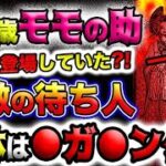 【ワンピース ネタバレ予想】ベガパンク登場？誰の影なのか？28歳モモの助登場？！(予想妄想)