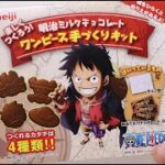 DIY Candy One Piece Chocolate Making Kit Japan Souvenir