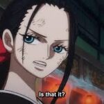One Piece Episode 1021 English Subbed (FIXSUB)