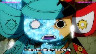 One Piece Episode 1022 English Subbed