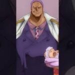 Admiral Zephyr is Canon?! | One Piece #shorts