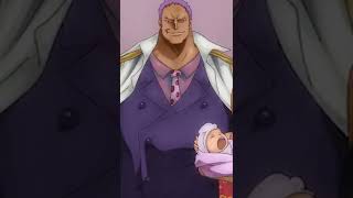 Admiral Zephyr is Canon?! | One Piece #shorts
