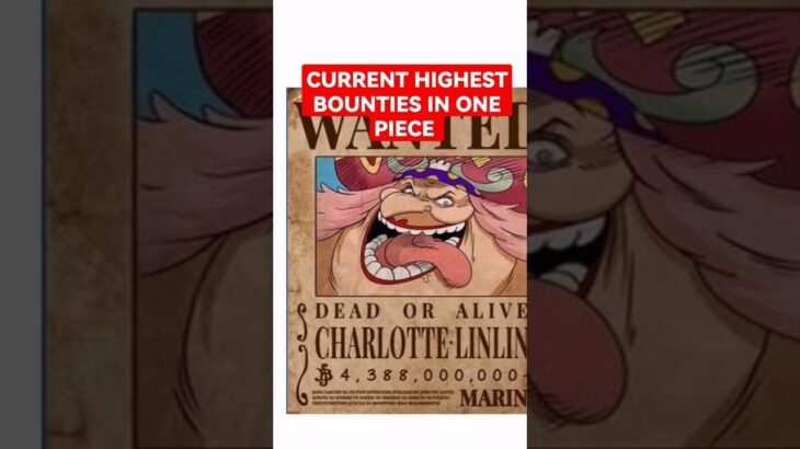 CURRENT HIGHEST BOUNTIES IN ONE PIECE