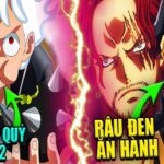 Luffy Có Thêm 1 Trái Ác Quỷ? | Tứ Hoàng Shanks Liêu Có Phải Trùm Cuối | Giả Thuyết One Piece