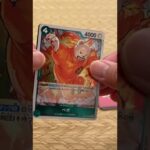 ONE PIECE CARD GAME 開封動画