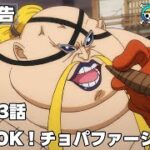 One Piece Episode 1023 English Subbed – ワンピース 1023話