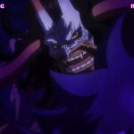 One Piece Episode 1025 English Subbed ( FIXSUB )